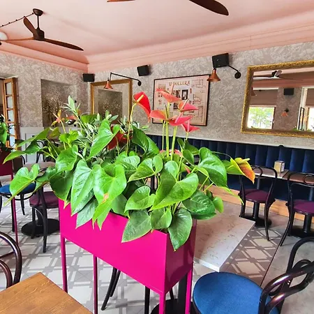 Pollera Hotel